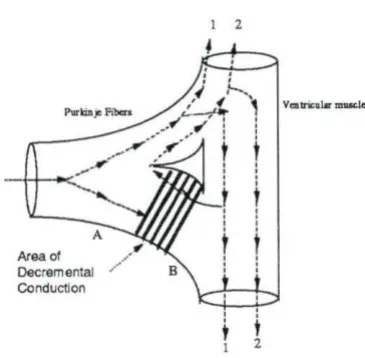 Figure 1.1: 