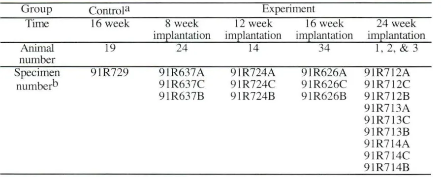 Table 3. 1. Sample list 