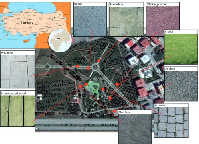 Fig. 2. Types of pavements and surfaces evaluated.