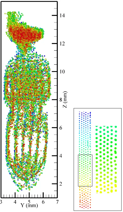 Figure 4.5: Particle structure at higher power and high pressure. The complexity of thesestructure is due to the presence of diﬀerent types of particles in the plasma (left)