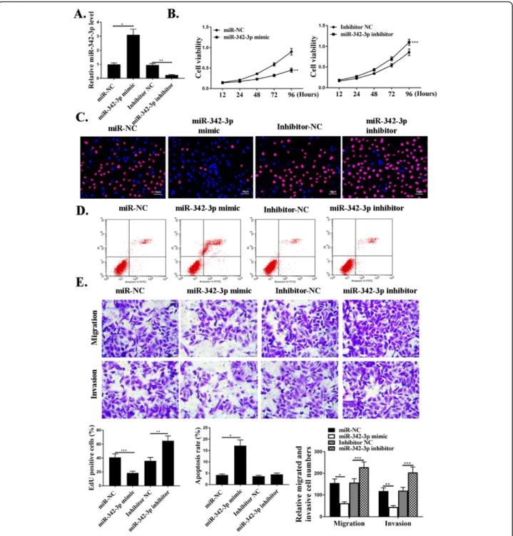 Fig. 3 MiR-342-3p mediates proliferation, migration, and invasion of NSCLC cells in vitro