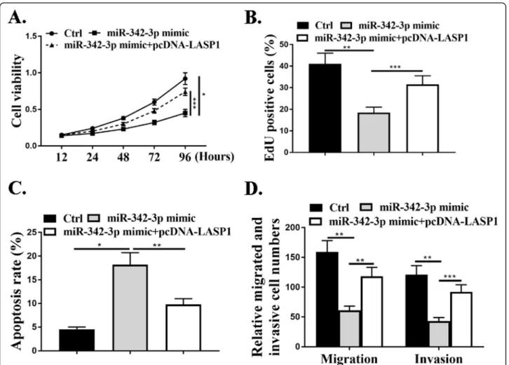 Fig. 6 MiR-342-3p/LASP1 axis mediated proliferation, migration, and invasion of NSCLC cells in vitro