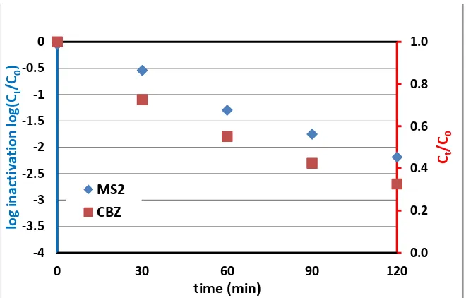Figure 2: Inactivation of C0~106 pfu/mL MS2 at (blue) and degradation of 1 mg/L CBZ (red) by 
