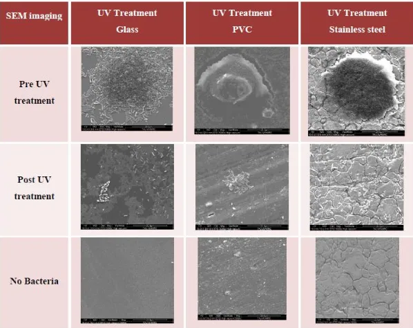Figure 2- SEM images of the different surface types pre and post UV treatment and clean surfaces 