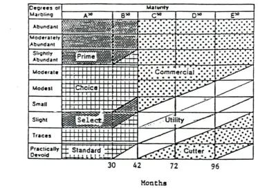 Figure 1.1 Chart used to determine carcass grade from the assigned marbling 