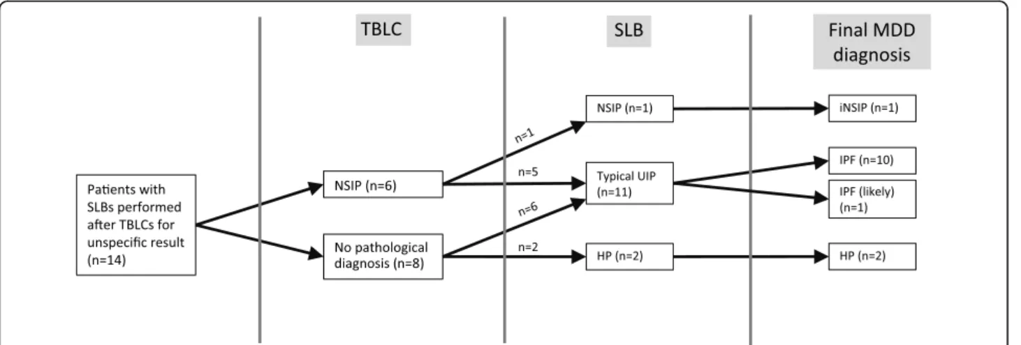 Fig. 2 Pathological and final MDD diagnoses obtained in the 14 patients having both TBLCs and SLBs
