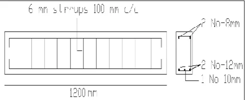 Fig 4.2 Reinforcing bars and stirrups 