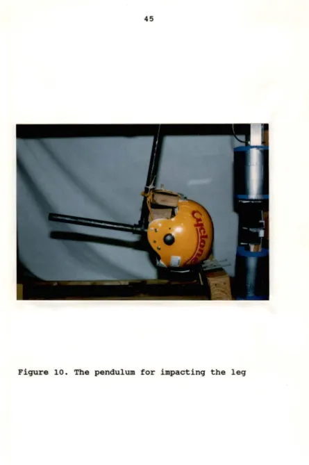 Figure 10. The pendulum for impacting the leg 