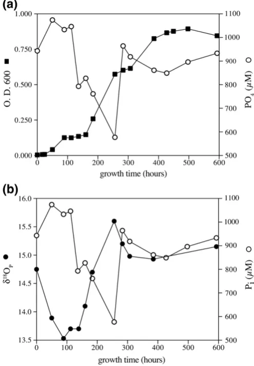 Fig. 4. Results of experiments on Pi uptake by intact E. coli cells grown on inorganicphosphate (Pi) minimal medium at 37 °C (adapted from Blake et al., 2005)