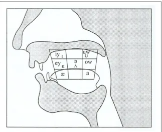 Figure 1: The Mouth Position of the / Q/ phoneme in English The Second Nature of Difficulty of / / for Turks