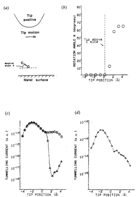 Figure I.(a) Tunnelling current (with rotation allowed) for the tip at current based forbidden Effect of the STM tip at height L above the substrate on the geometry and orientation of an isolated adsorbed CO molecule