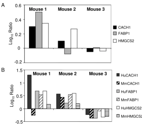 Figure 2liver tissuedonor-matched HCV-infected and naïve liver tissue. Donor-matched samples contained approximately the same percent-age of human tissue