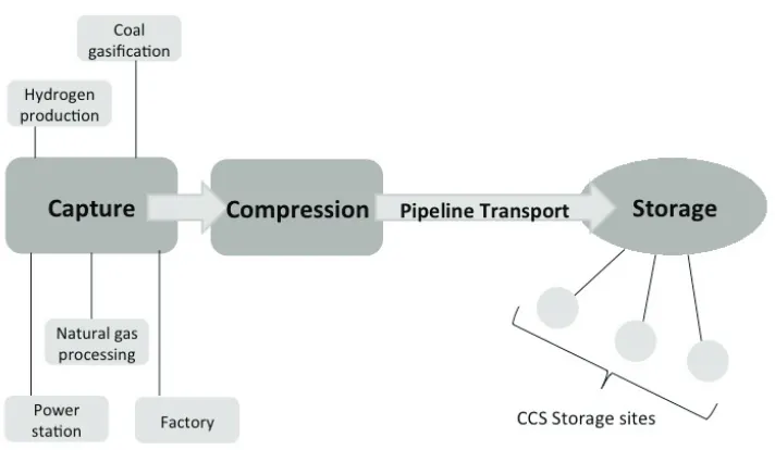 Fig. 8. – CCS Network (Source: WRI).