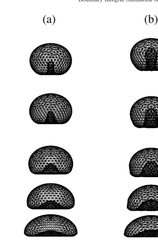 Fig. 1. Evolution of an initially oblate drop (driven motion. The drop will attain spherical shape