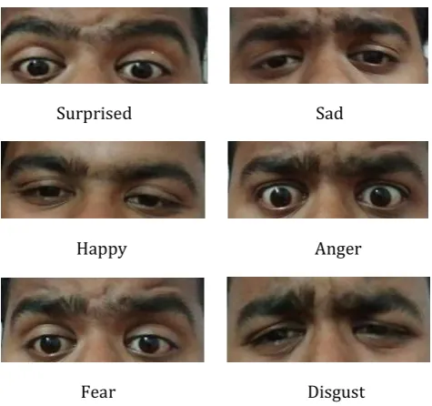 Fig -1: Sample eye expressions 