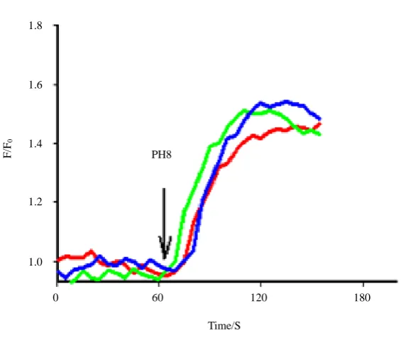 Figure 4.(%). 