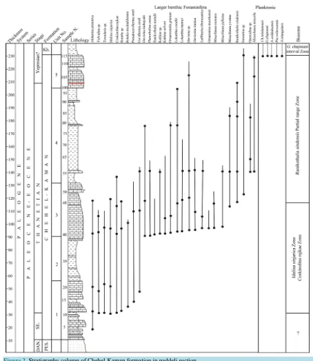 Figure 2. Stratigraphy column of Chehel-Kaman formation in paddeli section.                                                     
