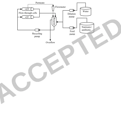 Figure 2 Permeate 