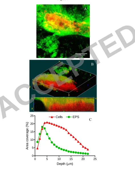 Figure 6 A 