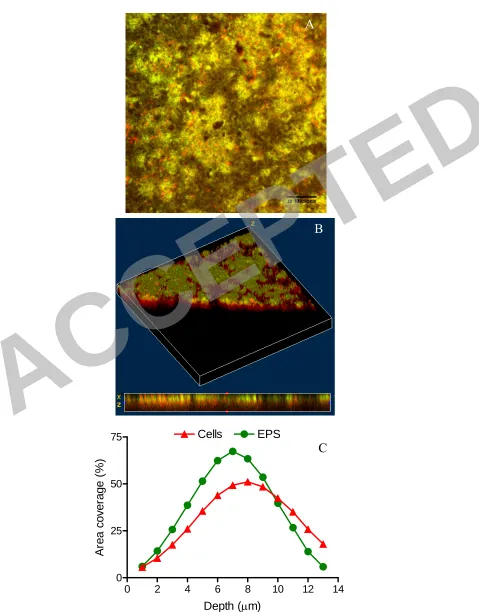 Figure 7 A 
