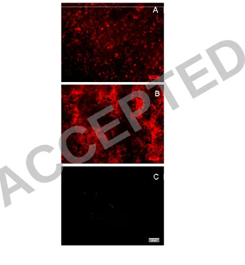 Figure 9 ACCEPTED