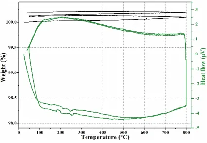 Fig. 8. – DSG and TGA curves of basalt up to 800 ◦C.