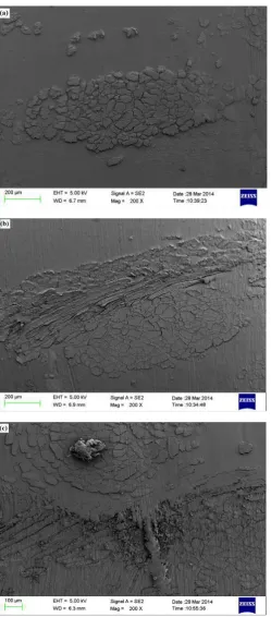 Fig 3. SEM Micrograph of worn Jute/ PP composite 