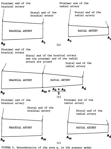 FIGURE 2. Determination of the area A in the present model m 