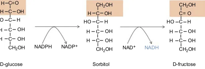 Figure 1 The polyol pathway catalyzing conversion of glucose to fructose. This pathway has two reactions; theconversion of glucose to sorbitol; the second reaction involves sorbitol dehydrogenase that catalyzes conversion of sorbitol to fructose with concurrent formation ofNADH.Abbreviation: ﬁrst reaction involves aldose reductase that catalyzes the NADH, nicotinamide adenine dinucleotide.