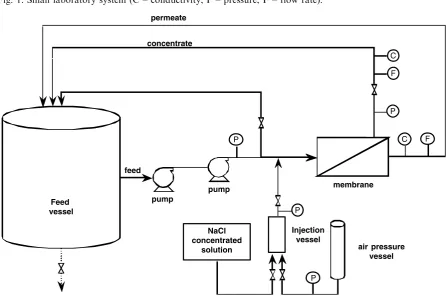 Fig. 1. Small laboratory system (C – conductivity, P – pressure, F – flow rate).