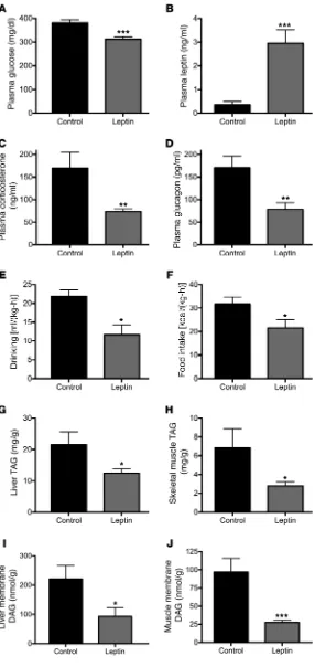 Figure 6. The chronic effect of leptin to suppress hyperglycemia in T1D mice is pleotropic