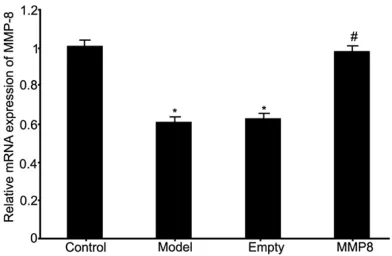Figure 1. MMP-8 mRNA expression in RPE cells of RRD. *P<0.05 compared to control group