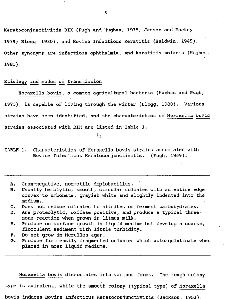TABLE  1.  Characteristics  of  Moraxella  bovis  strains  associated  with  Bovine  Infectious  Keratoconjunctivitis