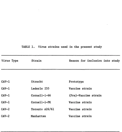 TABLE 1. Virus strains used in the present study 