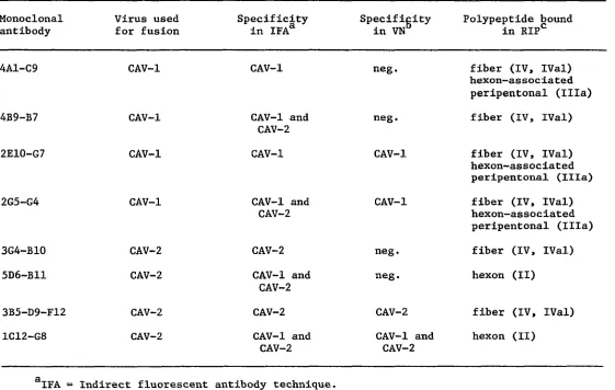 Table 3. Structural polypeptides of CAV Immunoprecipitated by monoclonal antibodies in an RIP 