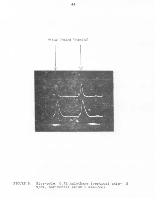 FIGURE 5. Five-pole, 0.7% halothane (vertical axis= .5 v/cm, horizontal axis= 5 msec/cm) 