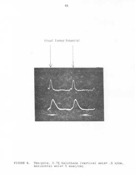 FIGURE 6. Ten-pole, 0.7% halothane (vertical axis= .5 v/cm, horizontal axis= 5 msec/cm) 