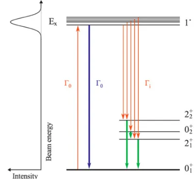 Figure 1. Isovector E1 GDR perceived as an oscillation ofand other dipole excitations such as the orbital M1 scissor mode,spin-ﬂip giant M1 resonance and the E1 and M1 two-phononneutrons against protons