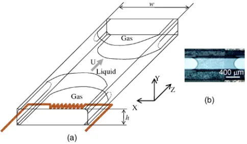 FIG. 1. �Color online�. �a� A typical scheme of a droplet which is heated upand moved by thermocapillary motion inside a rectangular microchannel�w�h�, �b� a top view photo of a liquid droplet inside the microchannel.