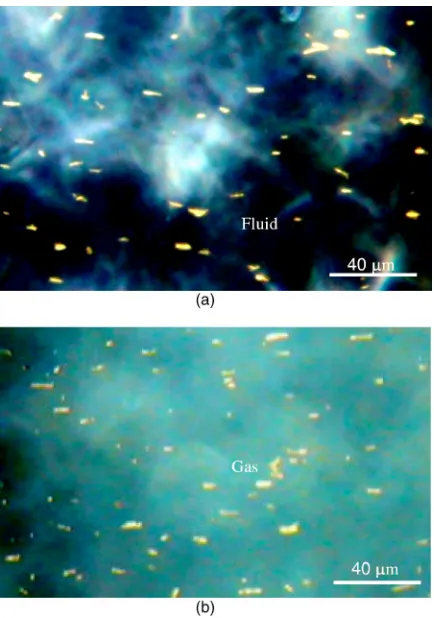 Figure 5 shows a series of pictures taken near the droplet’sfront meniscus as a NW turned around the corner �see movie2, linked to Fig