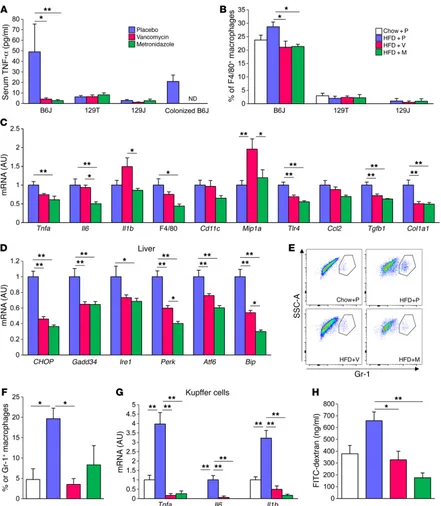 Figure 5. Gut microbiota modification by antibiotics ameliorates diet-induced inflammation in B6J mice
