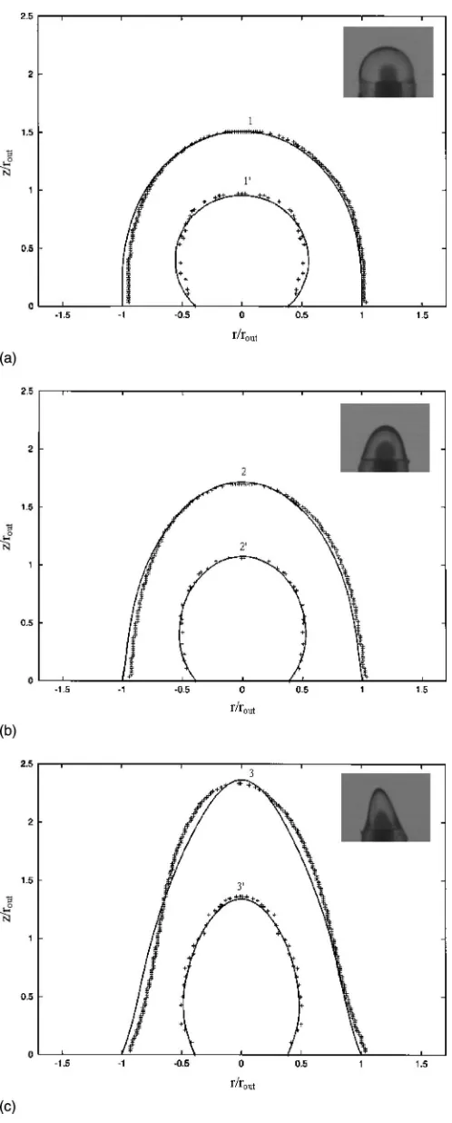 FIG. 6. Measured and predicted shapes of the core and shell interfaces atdifferent time moments:ﬁcially made negative
