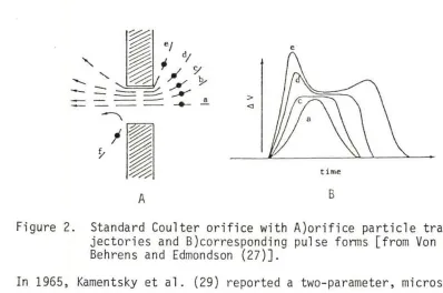 Figure 2 B). 