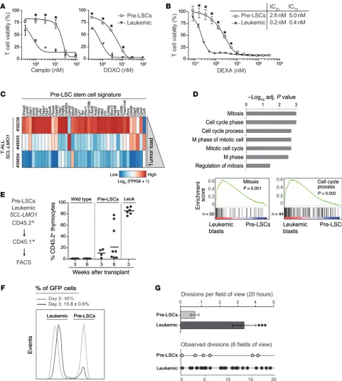 Figure 1. Proliferative leukemic blasts outcompete pre-LSCs and are more sensitive to chemotherapeutic agents