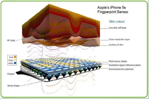 Fig-11: Apple’s Fingerprint Hardware 