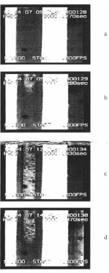 Fig. 7.Two-phase flow pattern in parallel microchannels.
