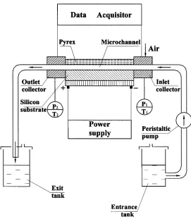 Figure 1. Experimental apparatus.