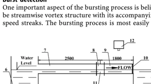 Fig. 2. Schematic diagram of the visual bursting detection