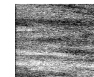 Fig. 5. Infrared image of the temperature ﬁeld of the foil surface
