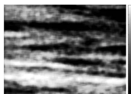Fig. 7. Enhanced image of the temperature ﬁeld
